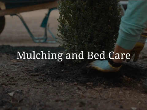 Mulching, Bed Care