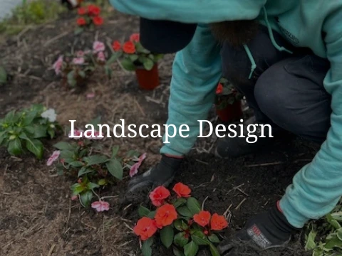 Landscape Design