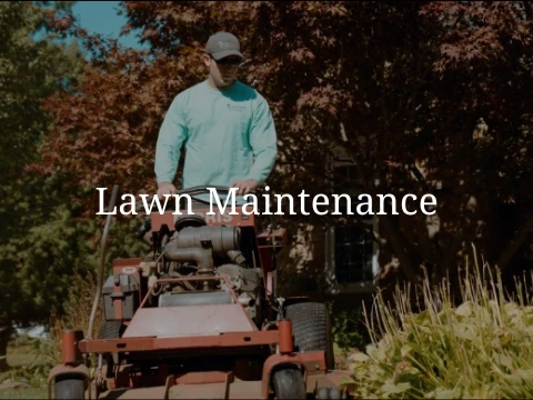 Lawn Maintenance, Lawn Care