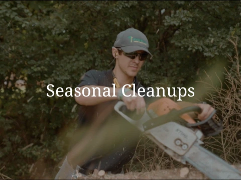 Seasonal Cleanups, Fall Cleanup, Spring Cleanup